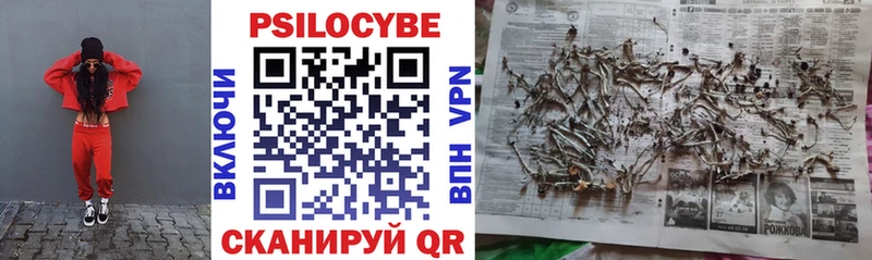 Купить  Жуковский  Галлюциногенные грибы Psilocybine cubensis 